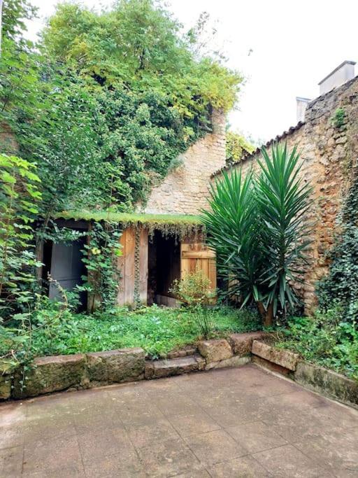 Le Patio - Cinelodge Avec Jardin ポアティエ エクステリア 写真